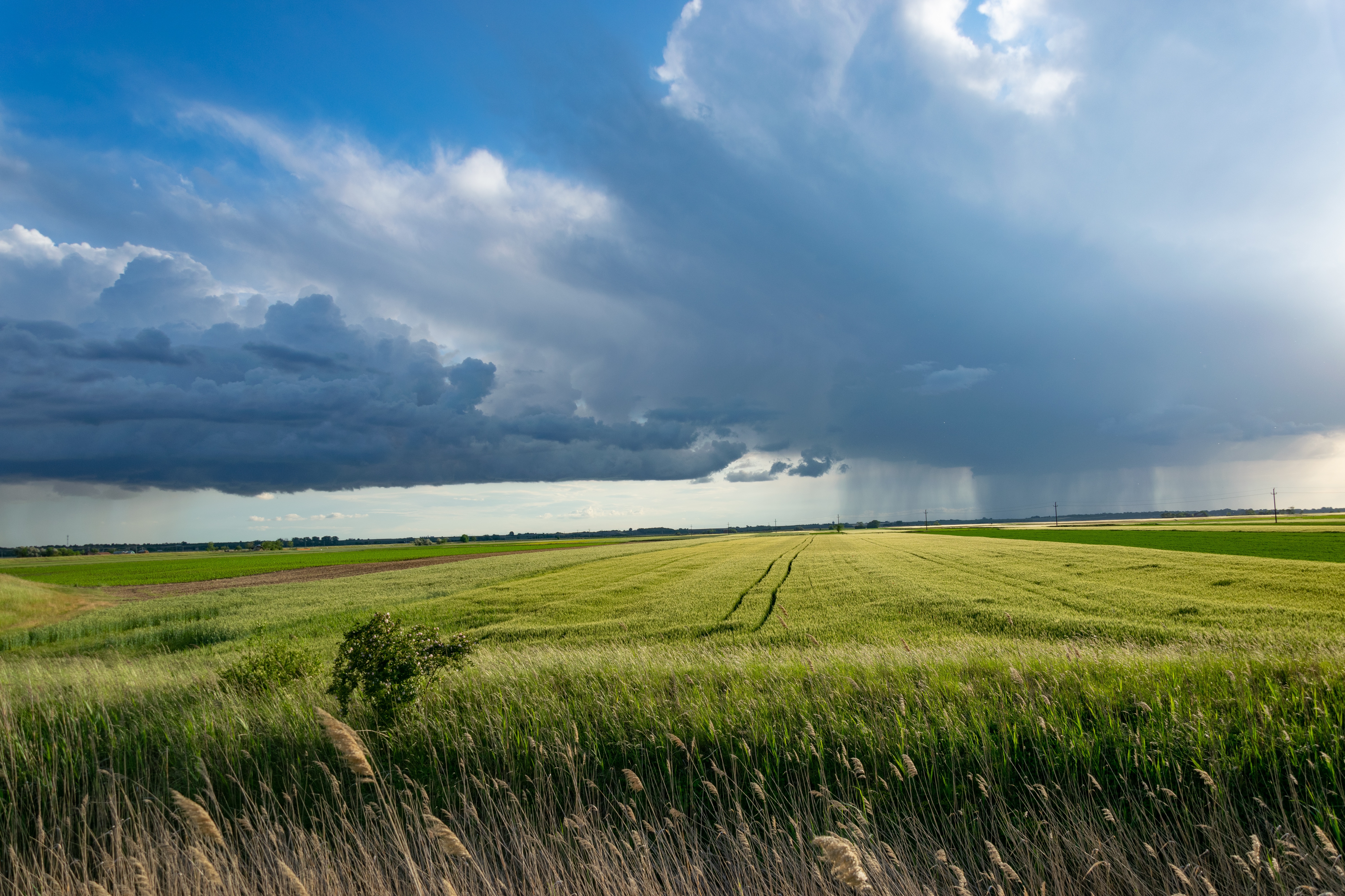Sell Land